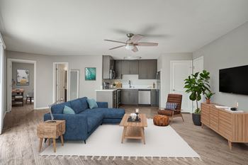Sunny & bright apartments
